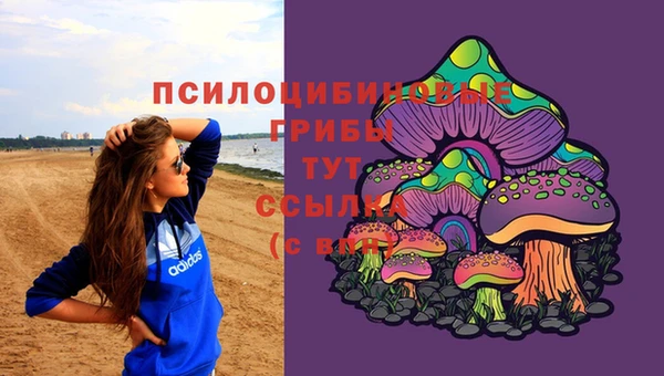 трава Армянск
