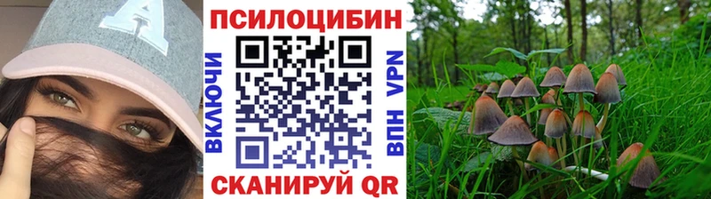 Псилоцибиновые грибы мицелий  как найти   Тарко-Сале 